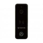 Tantos iPanel 2 черная одноабонентская цветная CVBS видеопанель