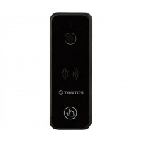 Tantos iPanel 2 черная одноабонентская цветная CVBS видеопанель